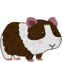 Chunky Goes to Space